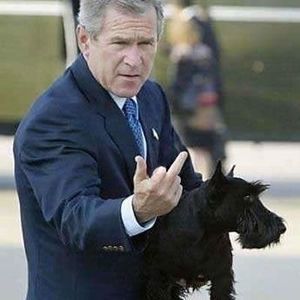 Meet your Posher, Farrah